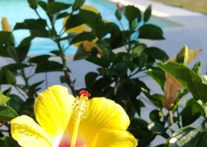 Ei Domaine Du Bouygues D'hotes