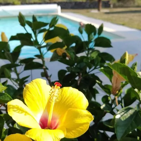 Ei Domaine Du Bouygues D'hotes